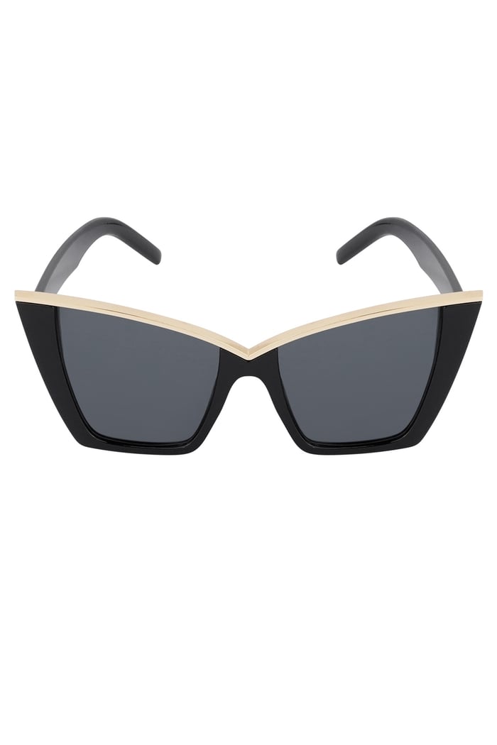 Chic sunglasses h5Picture4