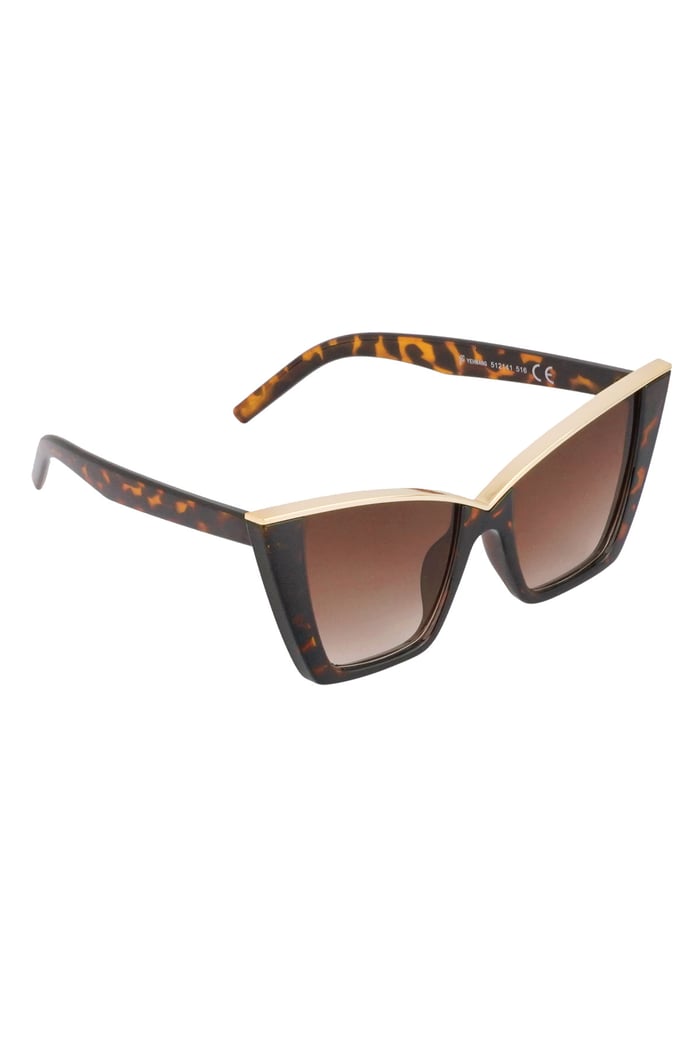 Chic sunglasses