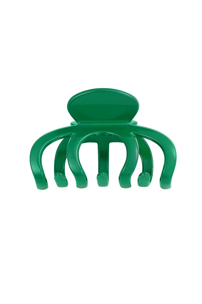 Hair clip curly