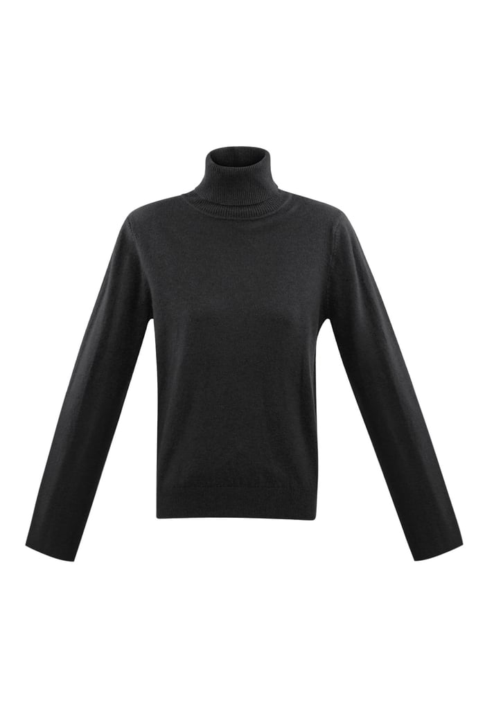 Honeydew turtleneck