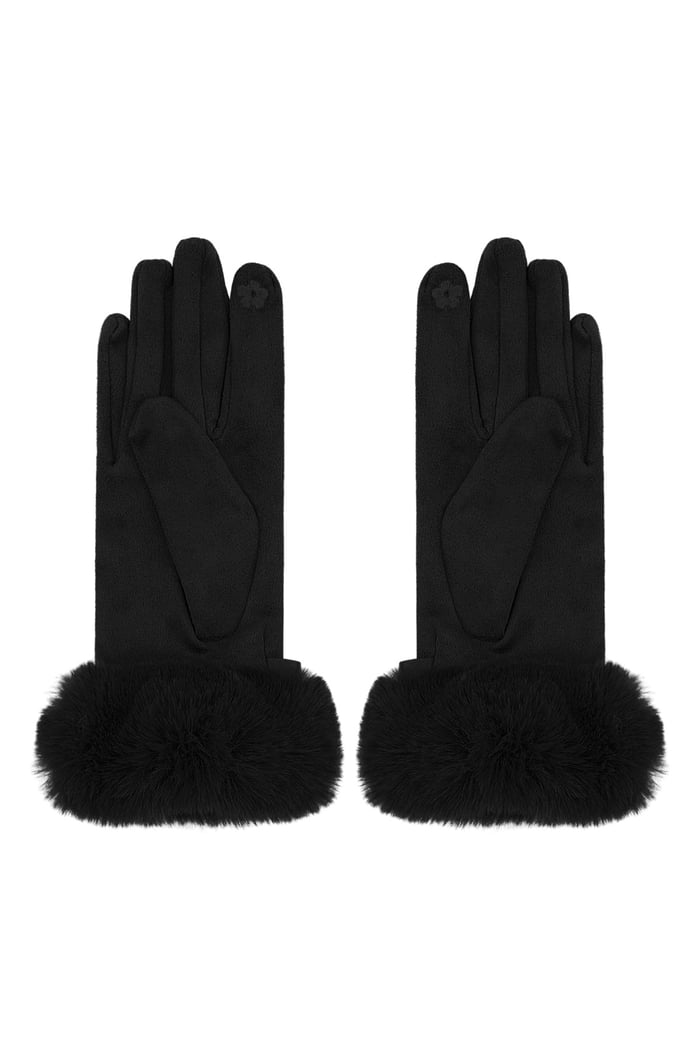 Refined grace gloves Picture3