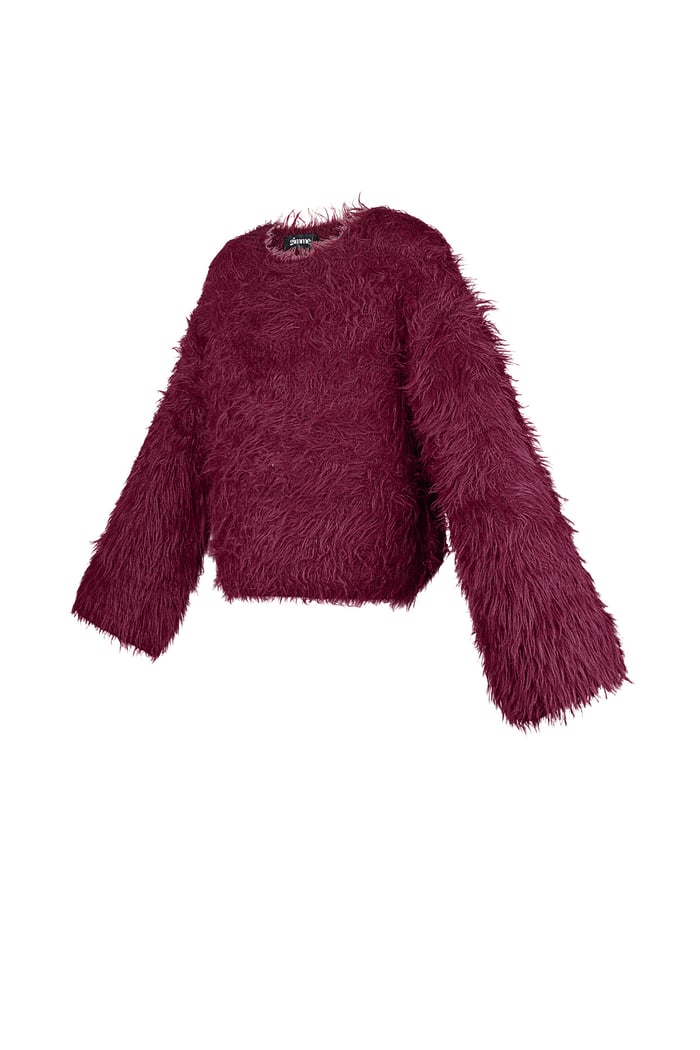 Fluffy finesse top Picture2