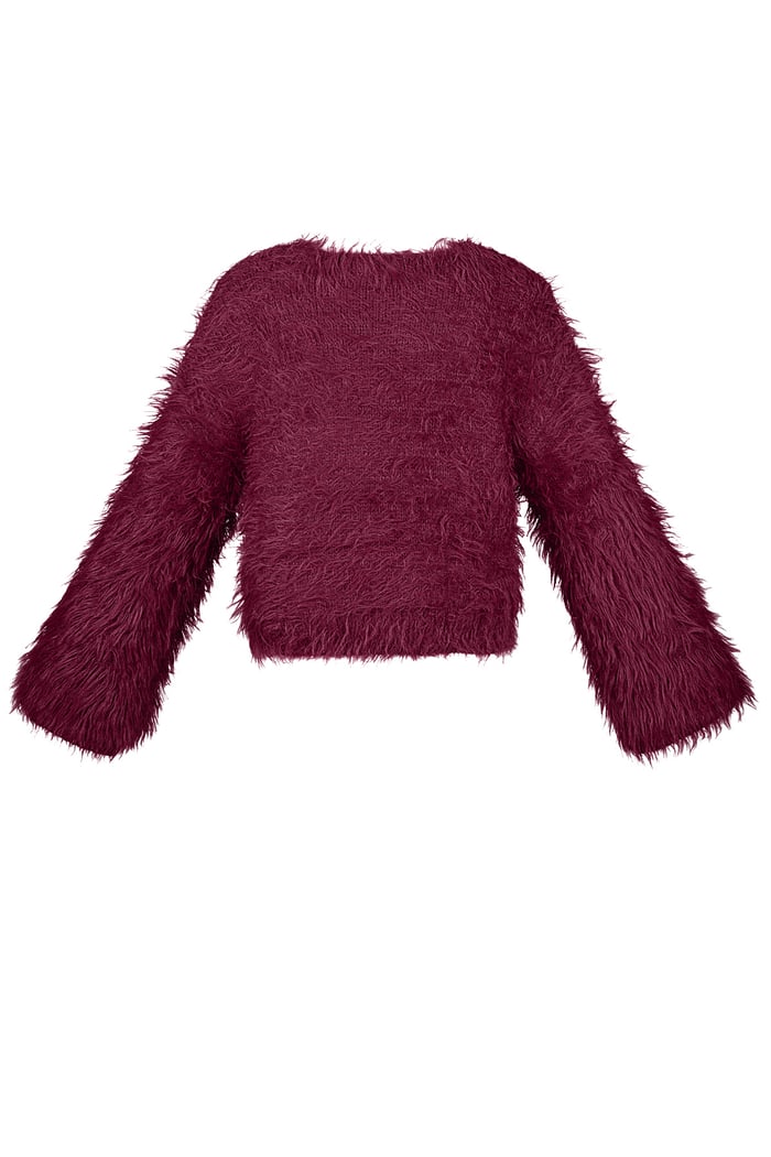 Fluffy finesse top Picture3