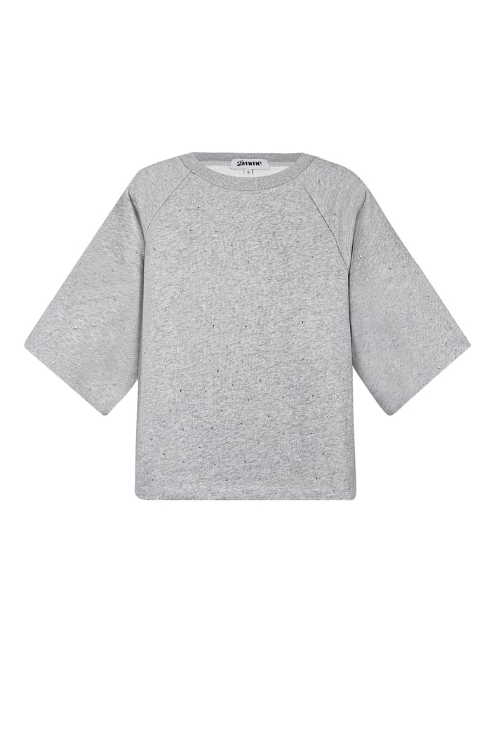 Top glitters in the sky - Gray