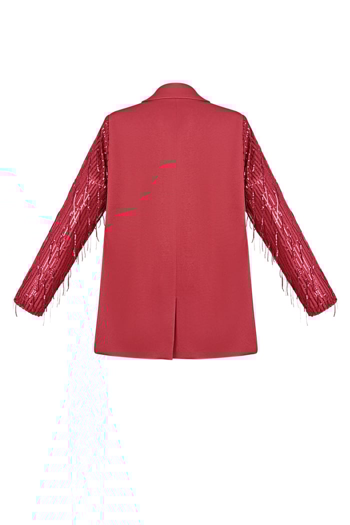 Blazer glitter sleeves Picture7