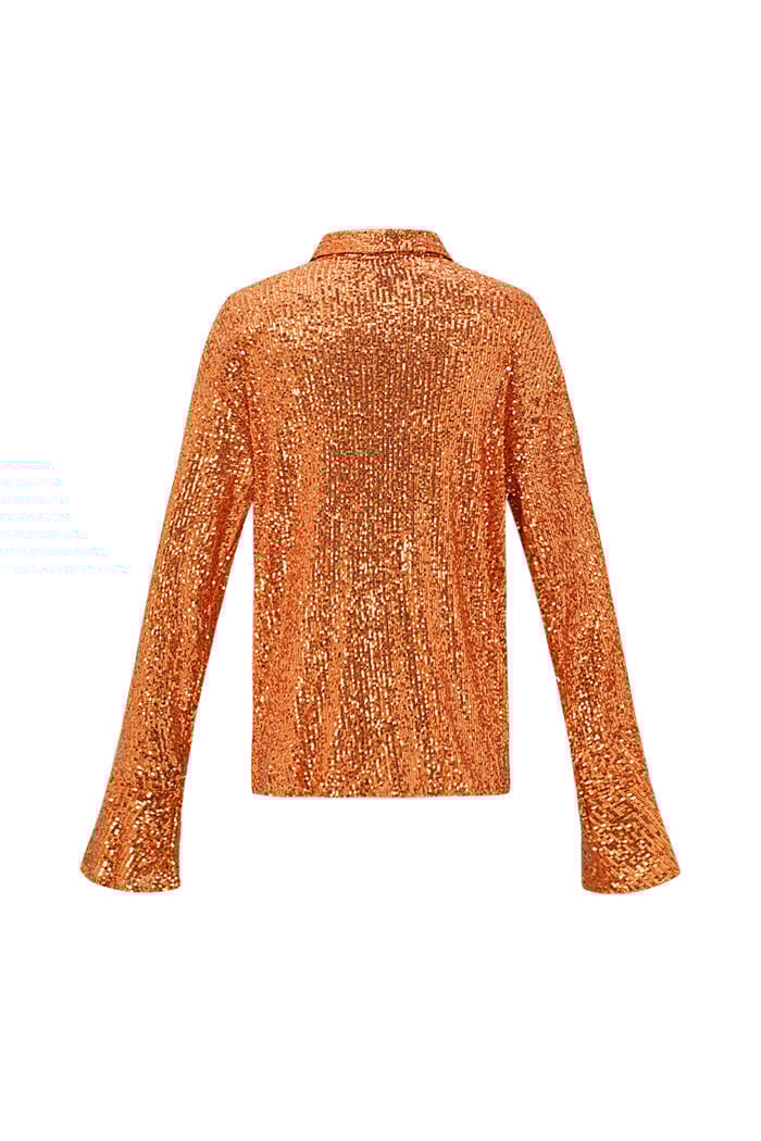 Glitter Long sleeve Blouse h5Picture6
