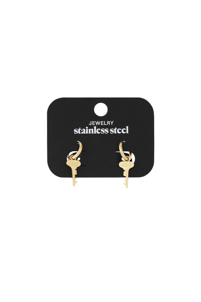 Key to love earrings Picture4