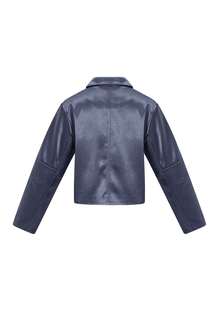 Satin Look Jacket h5Picture3
