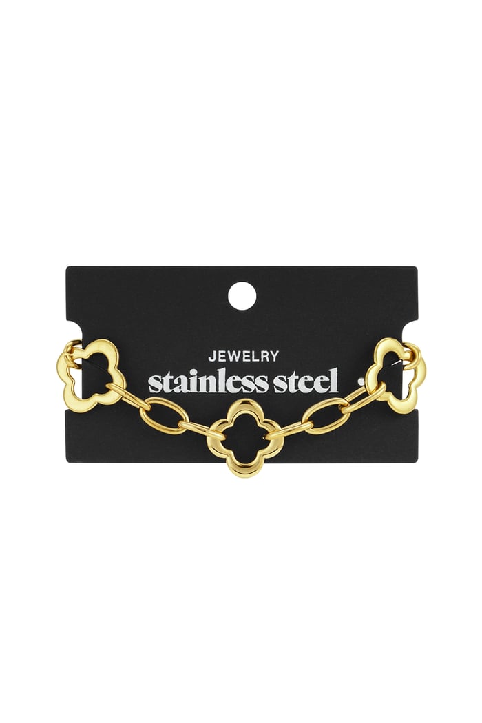 Stainless Steel Chain Bracelets Clover Casual Daily  Women's jewelry h5Picture4