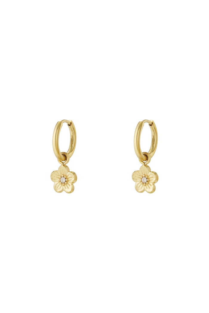 Flower fiesta earrings - Silver Color color 