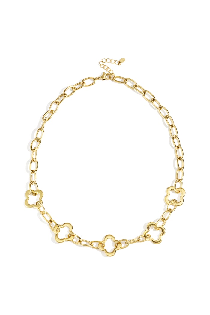Stainless Steel Chain Necklaces Clover Casual Daily Simple Series Women's jewelry