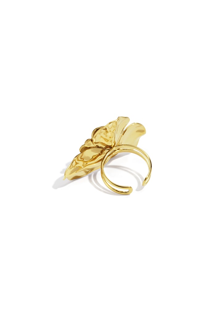Stainless Steel Statement Rings Flower Casual Daily Simple Series Women's jewelry h5Picture4