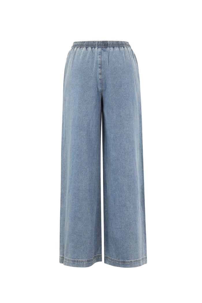 Denim Jogger h5Picture3
