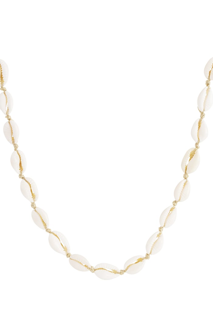 Conchiglia collana