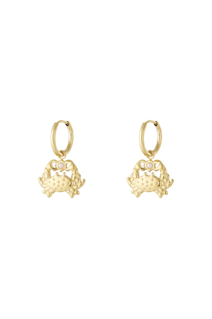   Drop Earrings Animal Casual Daily Simple Series Women's jewelry 