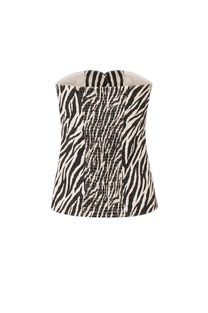 The Zebra Strapless h5Picture3