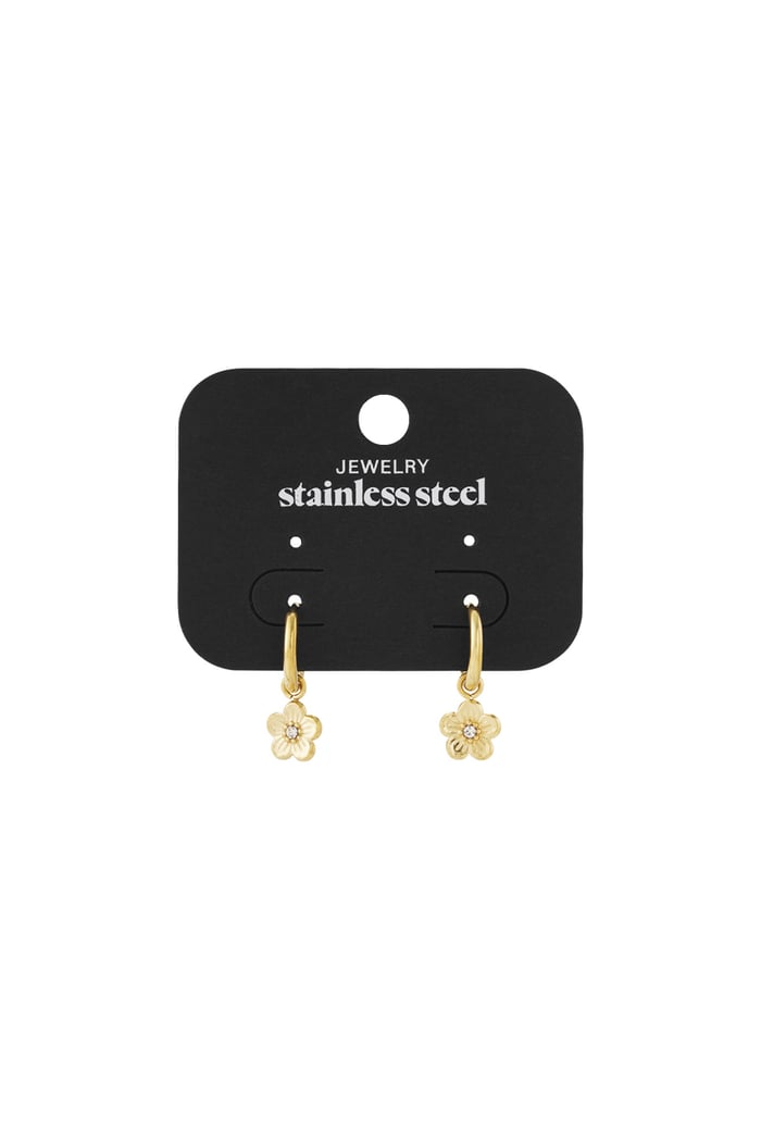 Flower fiesta earrings - Silver Color color Picture3