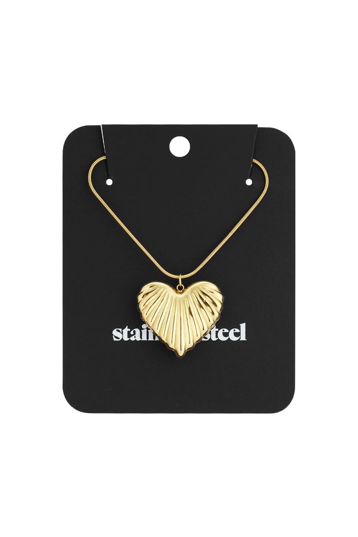 Stainless Steel Long Necklaces Heart Casual Daily Simple Series Women's jewelry h5Picture5