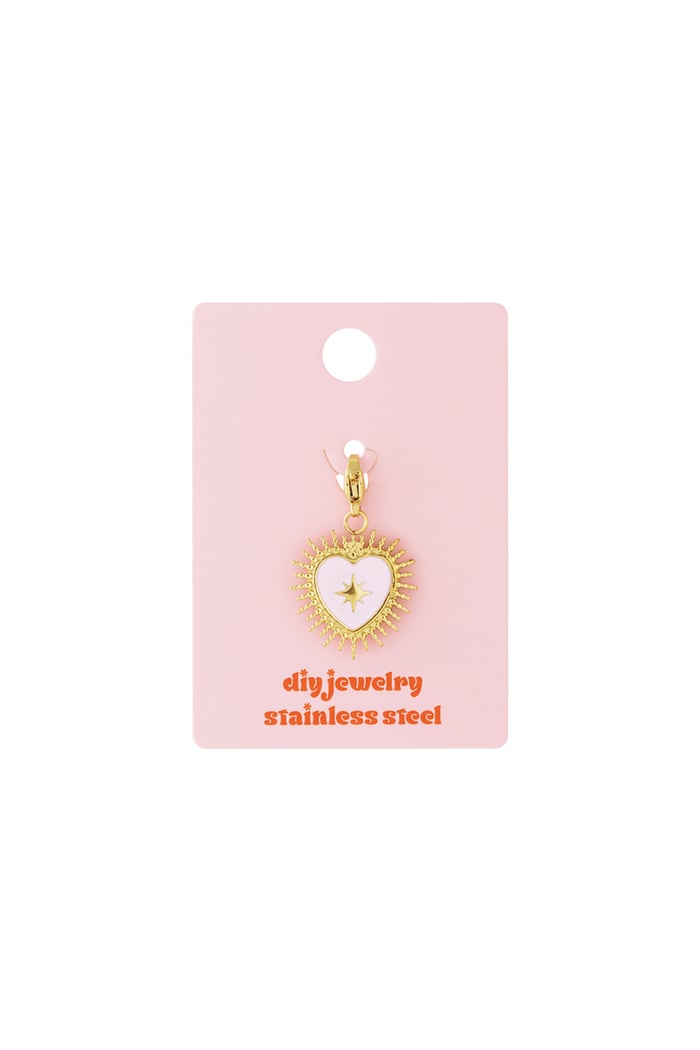 Stainless Steel Jewelry Charms Heart Casual Daily Simple Series Women's jewelry h5Picture3