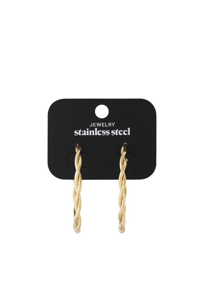 Twisted hoop earrings M Picture4