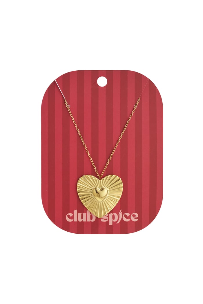 Stainless Steel Pendant necklaces Heart Casual Daily Simple Series Women's jewelry h5Picture5