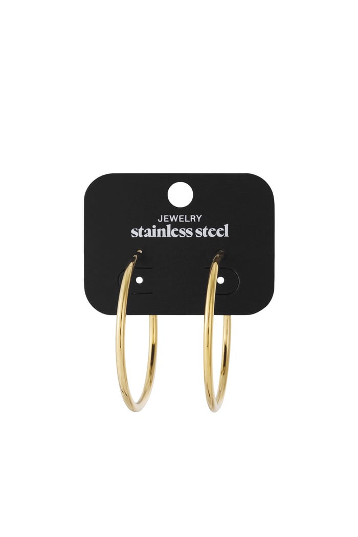 Basic Hoop earrings L Picture4