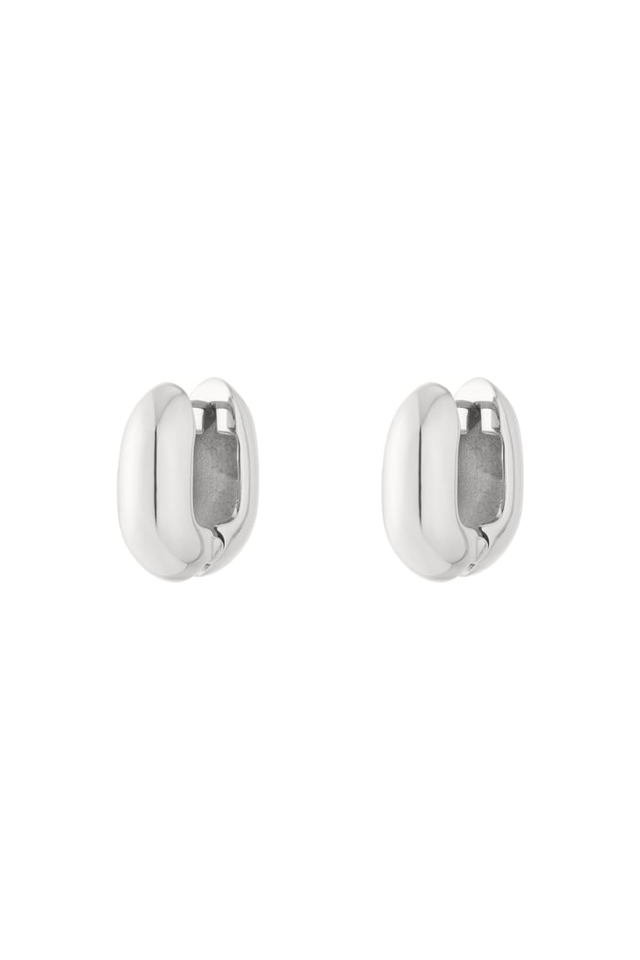 Hoop Earrings irregular shape rectangle Casual Daily Simple Series Women's jewelry
