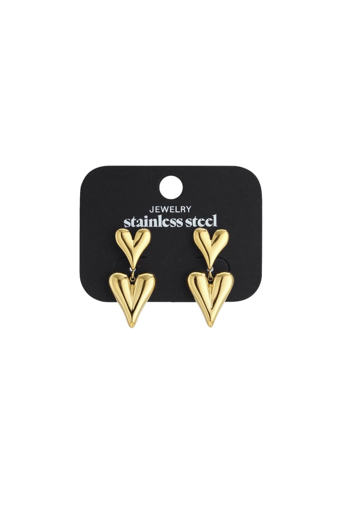 Stainless Steel Drop Earrings Heart Casual Daily Simple Series Women's jewelry h5Picture5