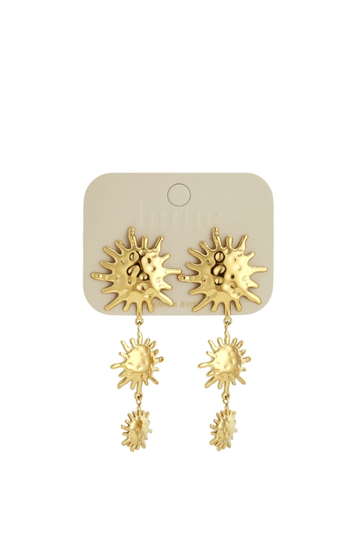 Stainless Steel Dangle Earrings sun Casual Daily Simple Series Women's jewelry h5Picture5