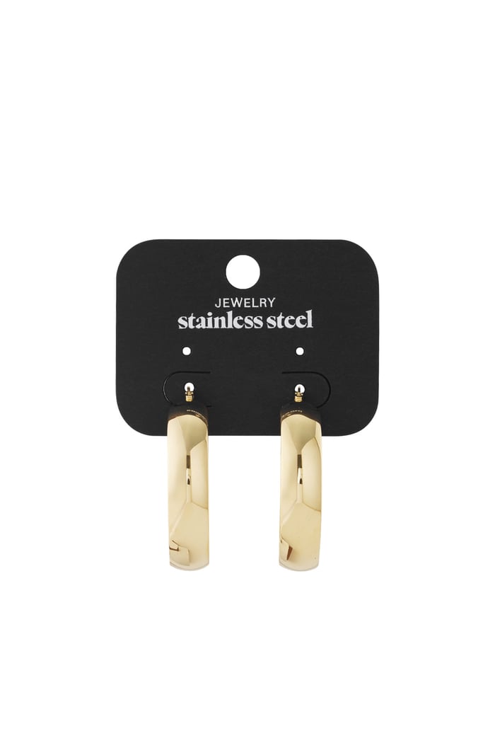 earrings stainless steel chic h5Picture3