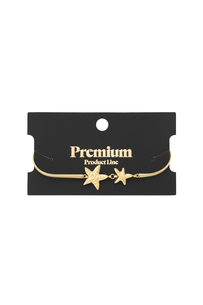 Double star Bracelet Picture4