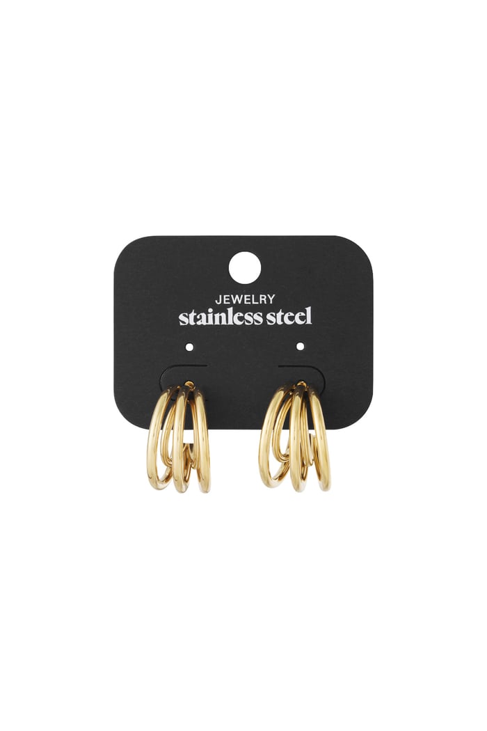 Stainless Steel Hoop Earrings Geometric Casual Daily Simple Series Women's jewelry h5Picture4
