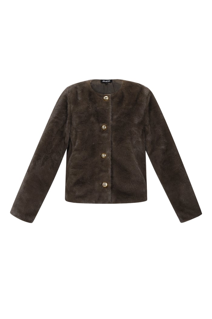 Faux Fur Jacket