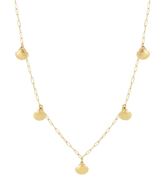 Shell Long Necklace 