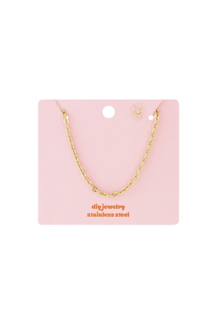Stainless Steel Chain Necklaces Chain DIY Daily Simple Series Women's jewelry Picture4