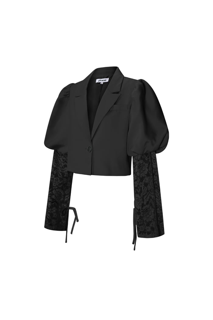Trendy Short Blazer With Lace h5Picture2