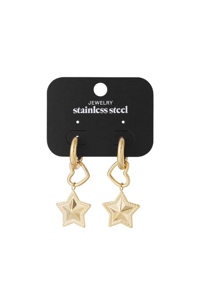 Soul Star earrings h5Picture4