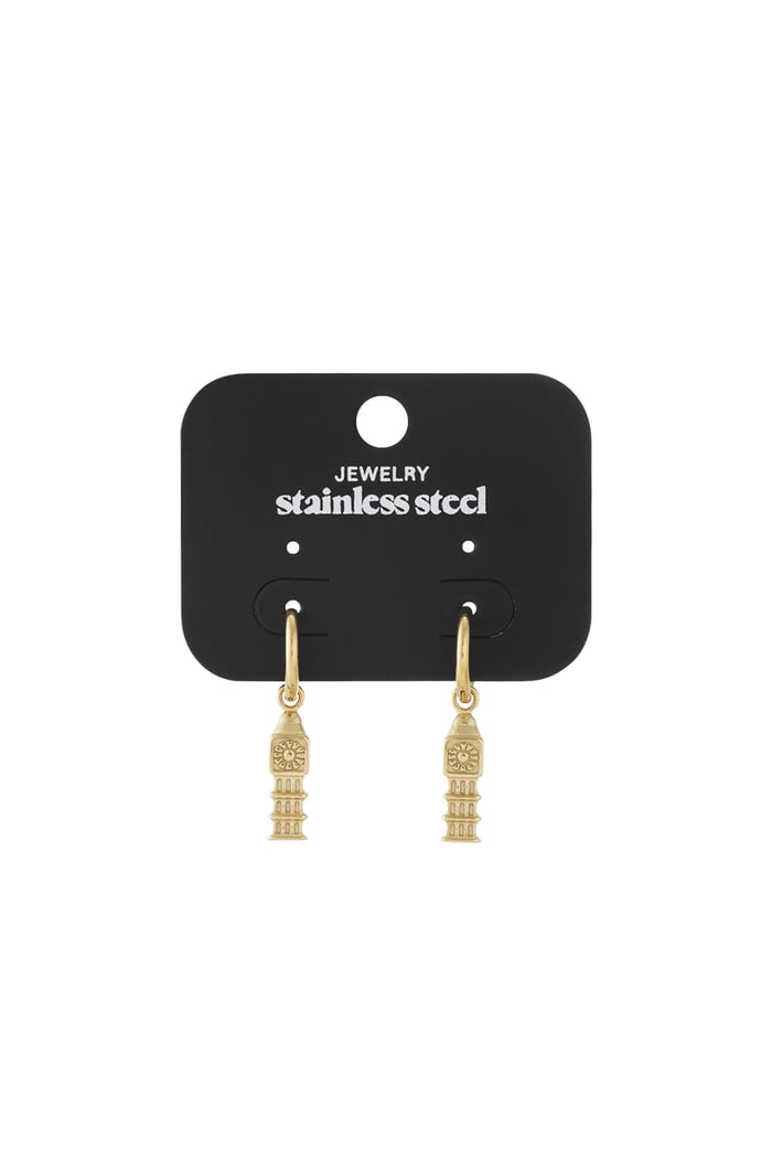 Stainless Steel Drop Earrings Cartoon Casual Daily Simple Series Women's jewelry h5Picture4