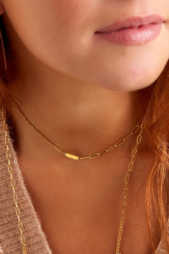 Stainless Steel Necklace with Double Chain and Charm