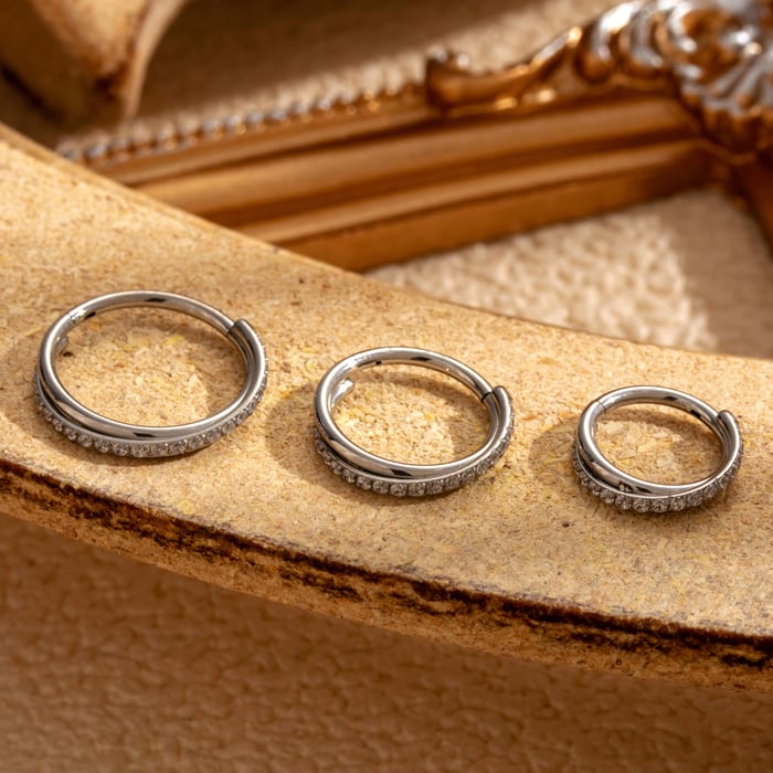 1 Piece Simple Series Classic Geometric Titanium Steel No Plating Material Zircon Women Hoop Earrings h5Picture2