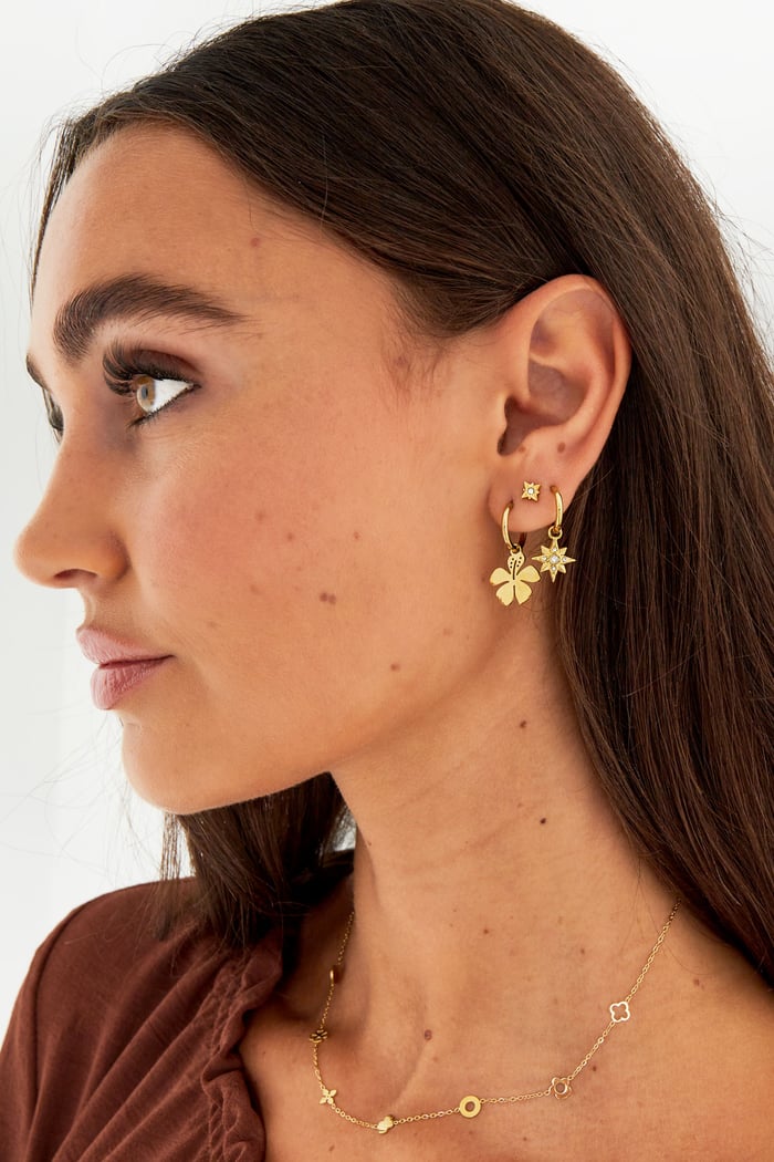 Earrings star with stones - Gold color/white Picture4