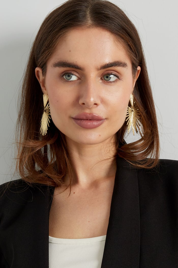 Earrings radiant - Silver Color color h5Picture4
