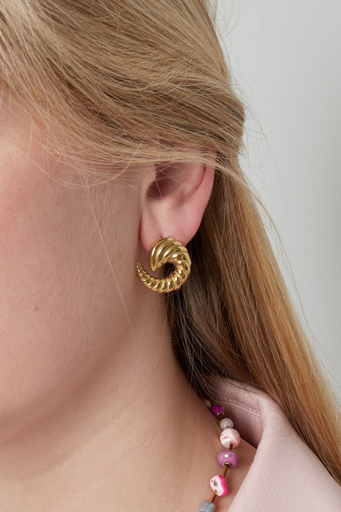 classic twisted earrings h5Picture2