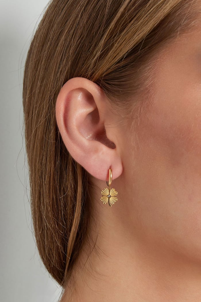 give me luck earrings h5Picture2