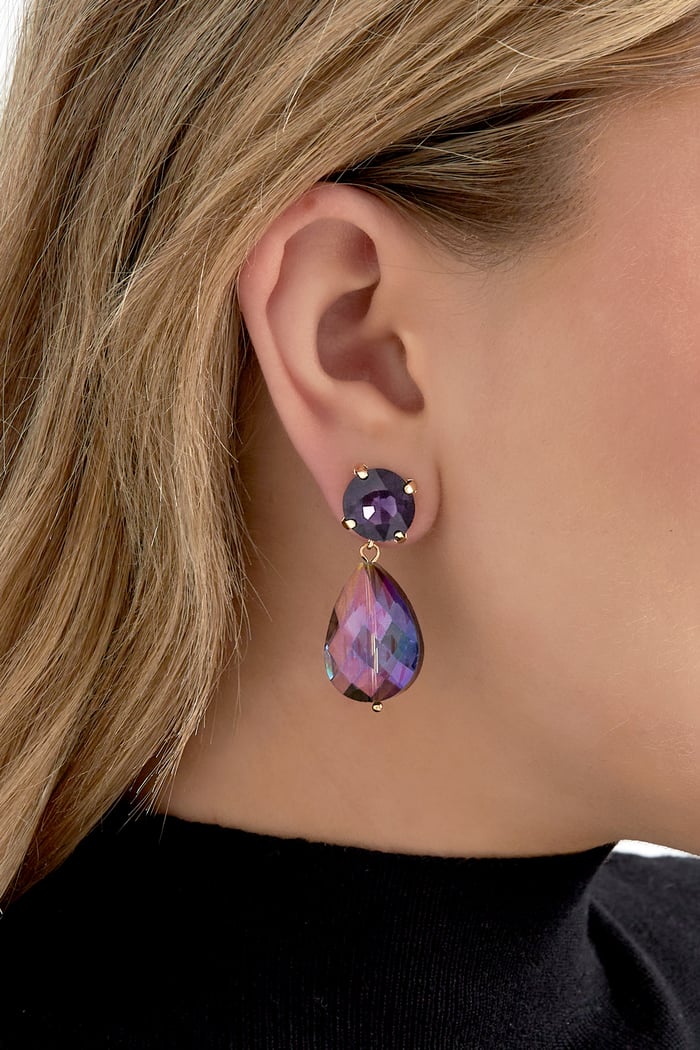 Oorbellen posh pardon - blauw bruin Afbeelding2