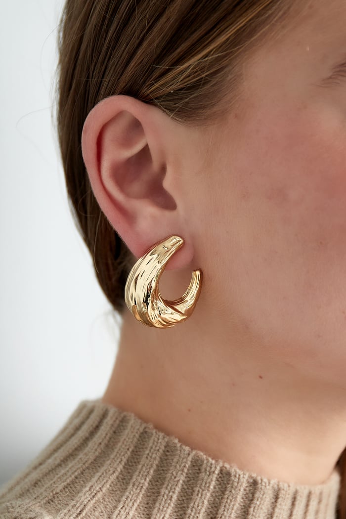 textured elegance earrings h5Picture2
