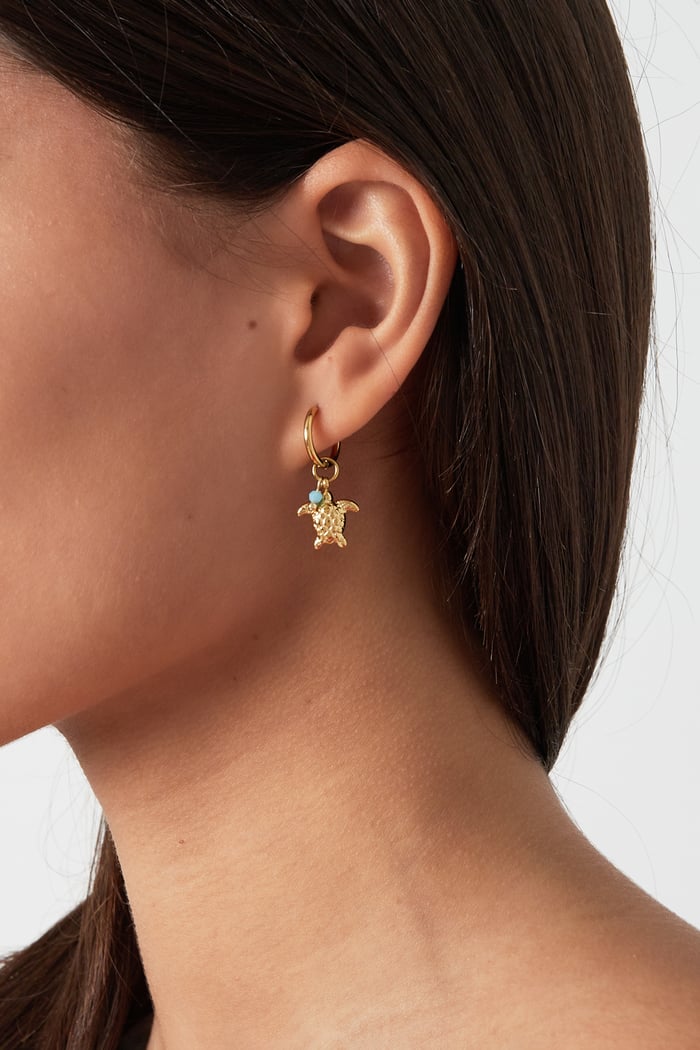 pendientes con tortuga h5Imagen2