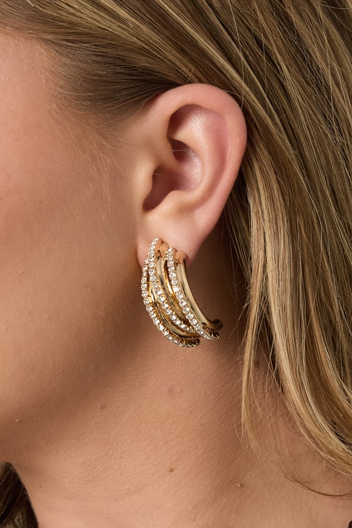 Iron Stud Earrings irregular shape Elegant Christmas Luxurious Series Women's jewelry h5Picture4