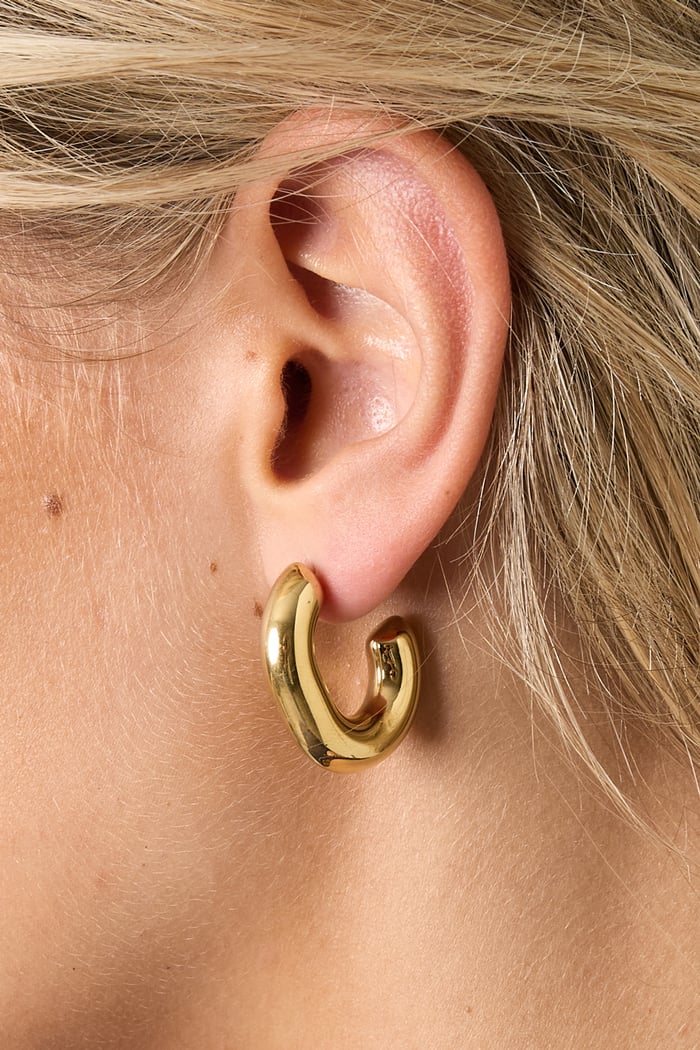 Stainless Steel Hoop Earrings irregular shape Casual Daily Simple Series Women's jewelry h5Picture3