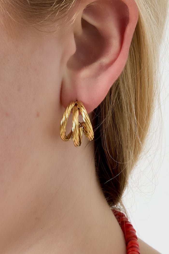 Stainless Steel Hoop Earrings Geometric Daily Daily h5Picture2